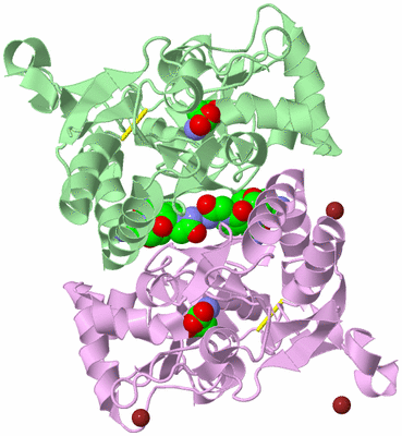 Image Biological Unit 1