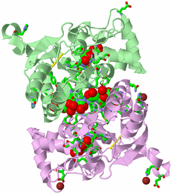 Image Biol. Unit 1 - sites