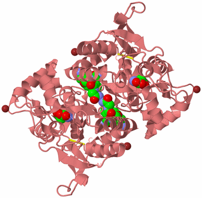 Image Biological Unit 2