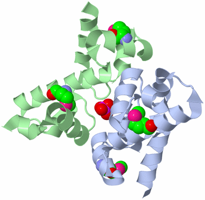 Image Biological Unit 1