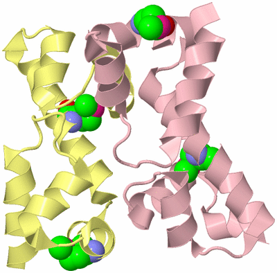 Image Biological Unit 2