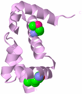 Image Biological Unit 3