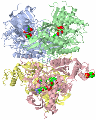 Image Asym./Biol. Unit