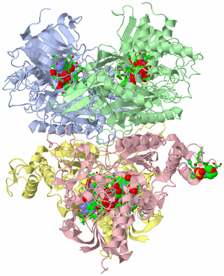 Image Asym./Biol. Unit - sites