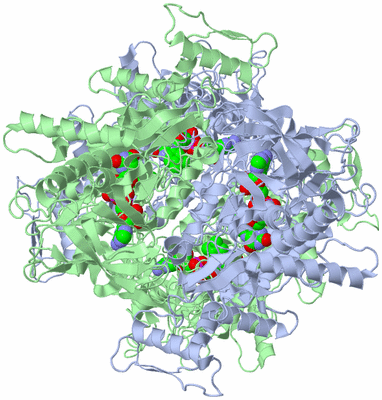 Image Biological Unit 1