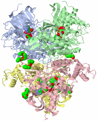 Image Asym./Biol. Unit