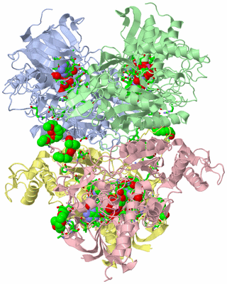 Image Asym./Biol. Unit - sites