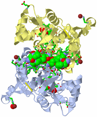 Image Biol. Unit 1 - sites