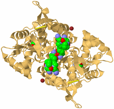 Image Biological Unit 2