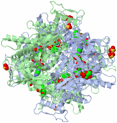 Image Biological Unit 1