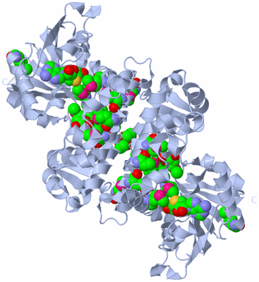 Image Biological Unit 1