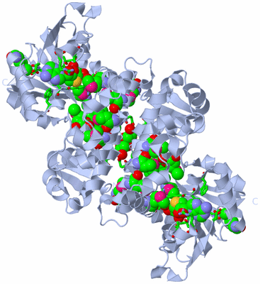 Image Biol. Unit 1 - sites