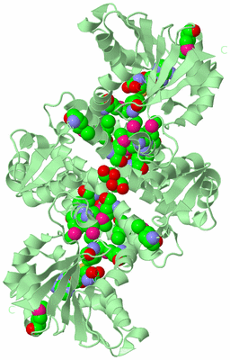 Image Biological Unit 2