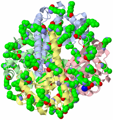 Image Asym./Biol. Unit