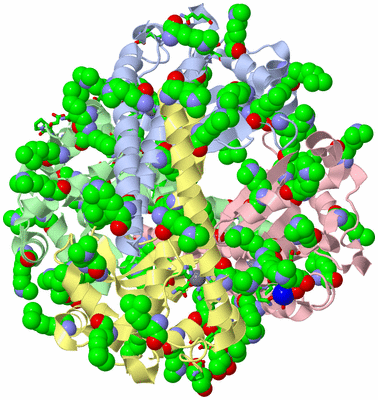 Image Asym./Biol. Unit - sites