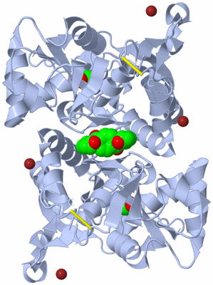 Image Biological Unit 1