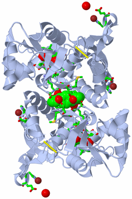 Image Biol. Unit 1 - sites