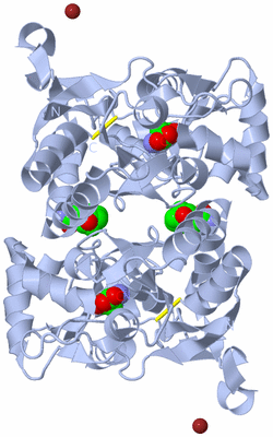 Image Biological Unit 1