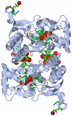 Image Biol. Unit 1 - sites