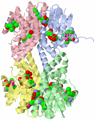 Image Asym./Biol. Unit