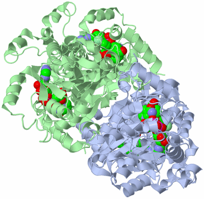 Image Biological Unit 1