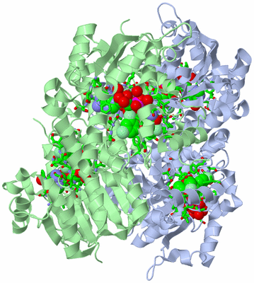 Image Biol. Unit 1 - sites