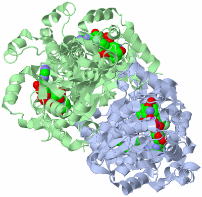 Image Biological Unit 1