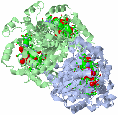 Image Biol. Unit 1 - sites