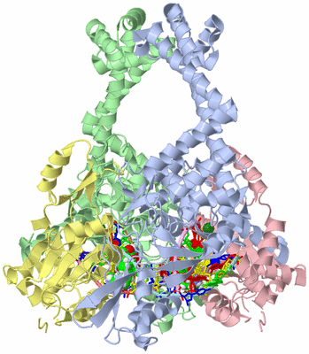 Image Asym./Biol. Unit