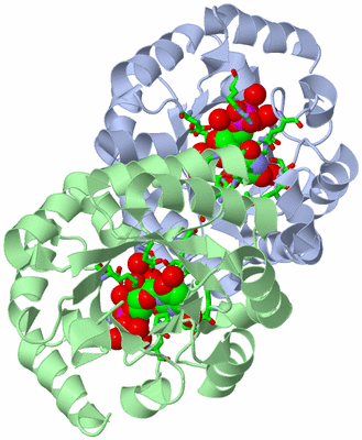 Image Asym./Biol. Unit - sites