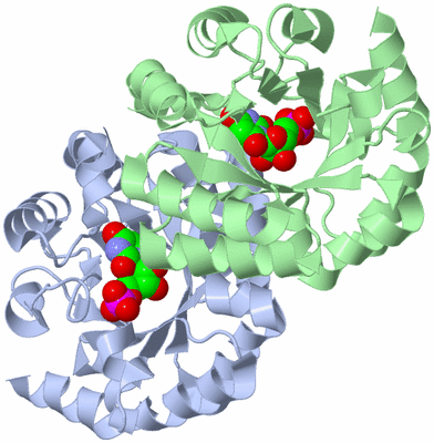 Image Asym./Biol. Unit