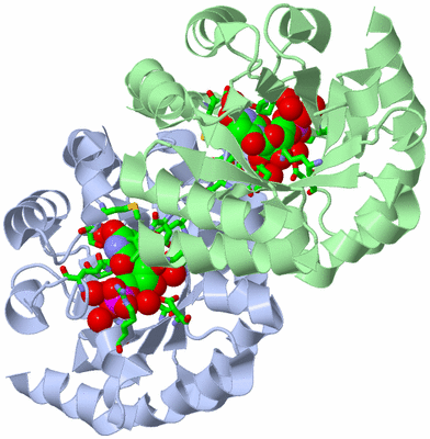 Image Asym./Biol. Unit - sites