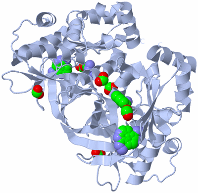 Image Biological Unit 2