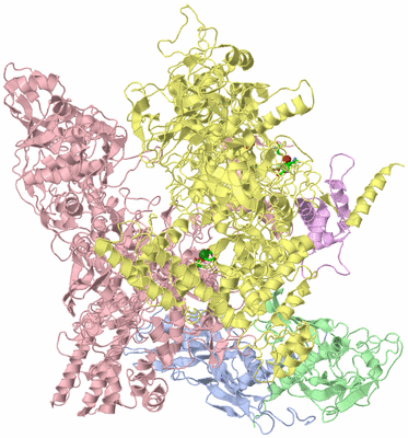 Image Asym./Biol. Unit - sites