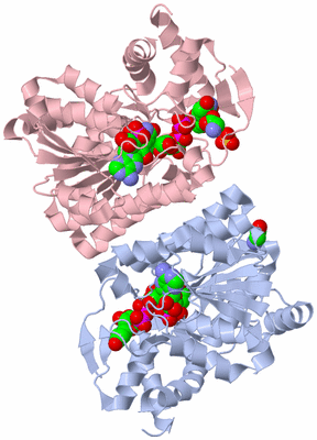 Image Biological Unit 1