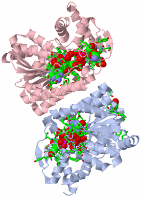 Image Biol. Unit 1 - sites