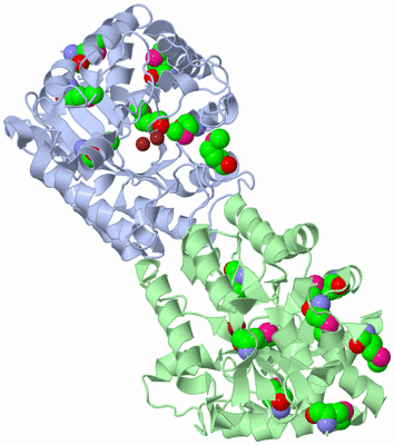 Image Biological Unit 1