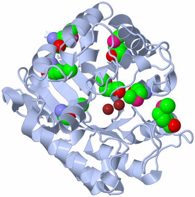 Image Biological Unit 2