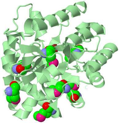 Image Biological Unit 3