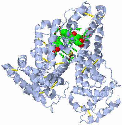 Image Biol. Unit 1 - sites