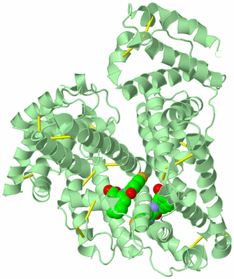 Image Biological Unit 2