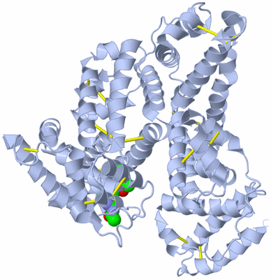 Image Biological Unit 1