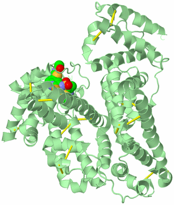 Image Biological Unit 2