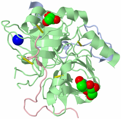 Image Biological Unit 1