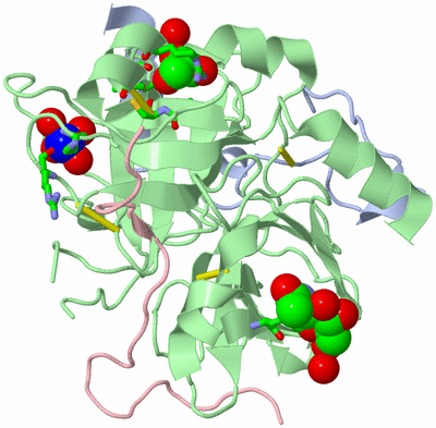 Image Biol. Unit 1 - sites