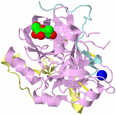 Image Biological Unit 2