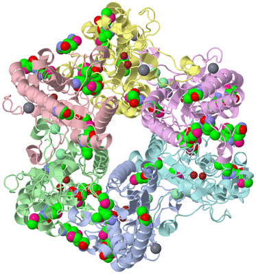 Image Biological Unit 1