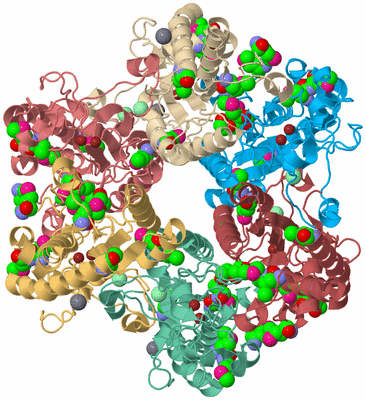 Image Biological Unit 2