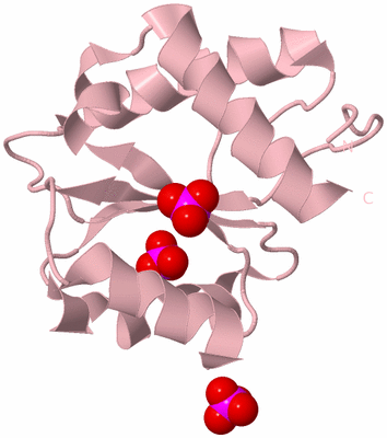 Image Biological Unit 3