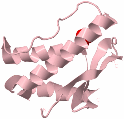 Image Biological Unit 3